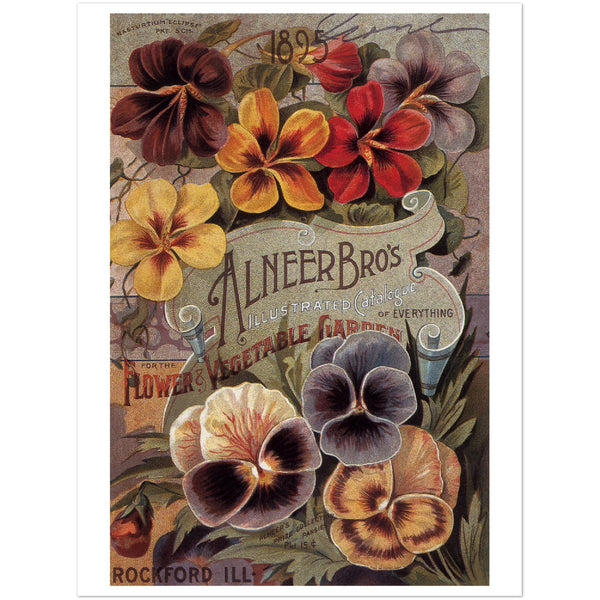 3147400 Ad for Alneer Brothers Seeds
