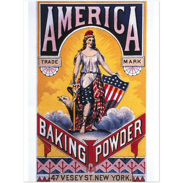 1697477 American Baking Powder, Trade Card, circa 1880