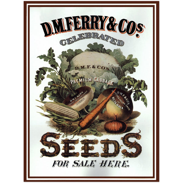 3147356 DM Ferry Seeds Ad