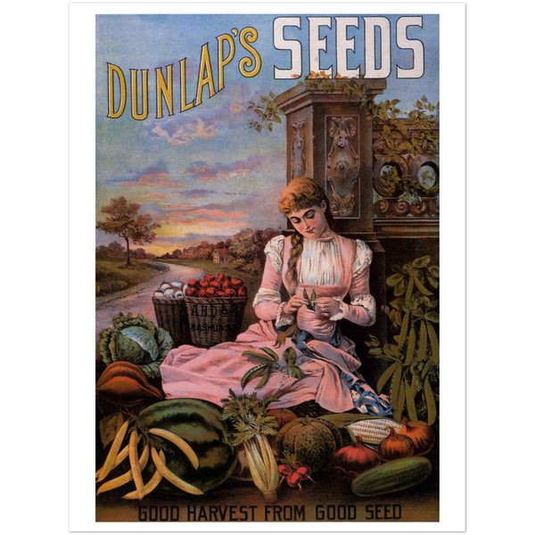 3147323 Dunlap's Seeds Ad