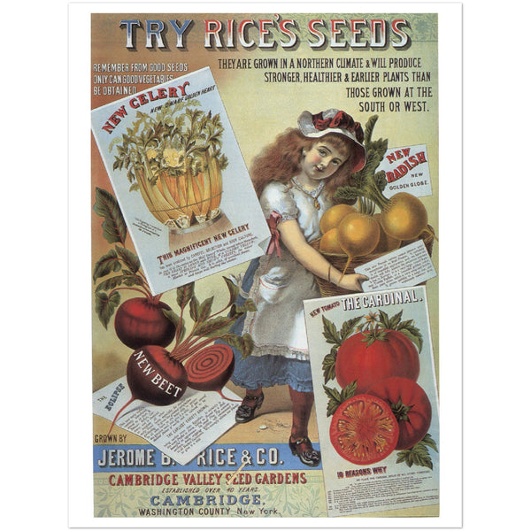 3147353 Ad for Rice's Seeds