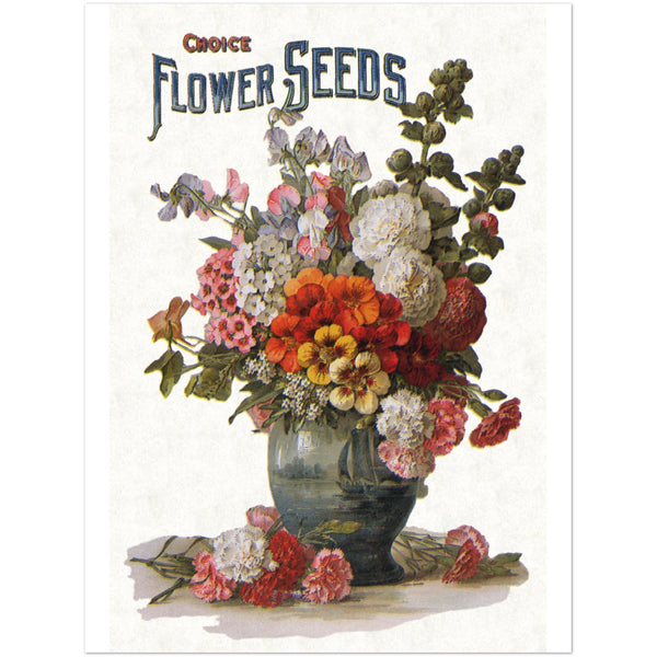 3147322 Choice Flower Seeds Ad