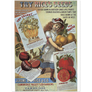 3147353 Ad for Rice's Seeds