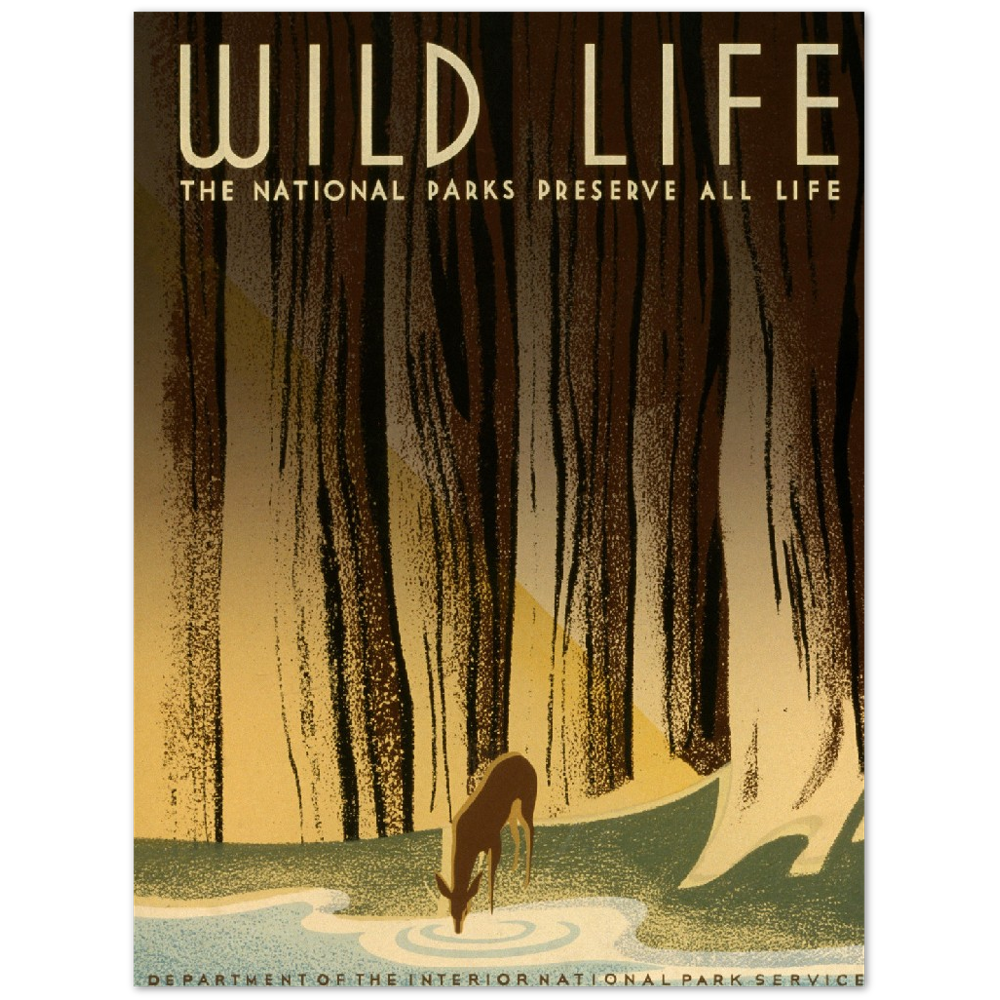 4381538 Wild Life