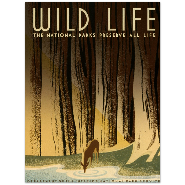 4381538 Wild Life
