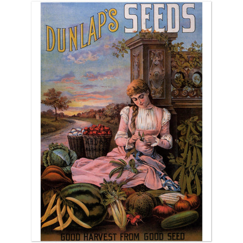 3147323 Dunlap's Seeds Ad