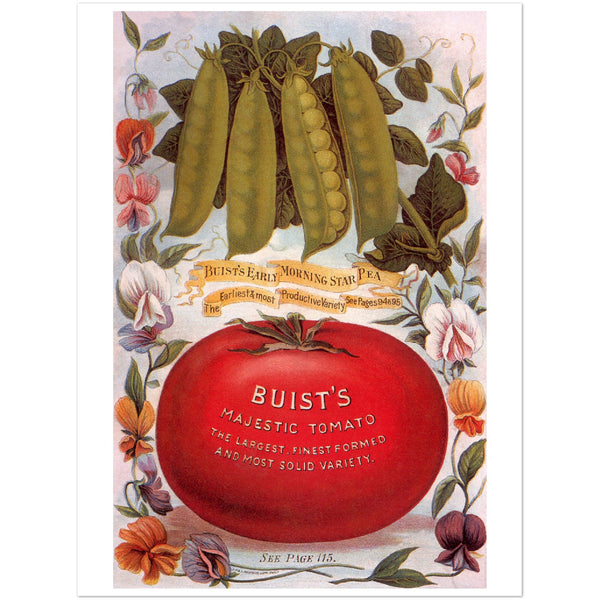 3147390 Buist's Tomato Seeds Ad