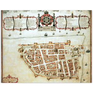 4451669 Map of Tranquebar, 1733