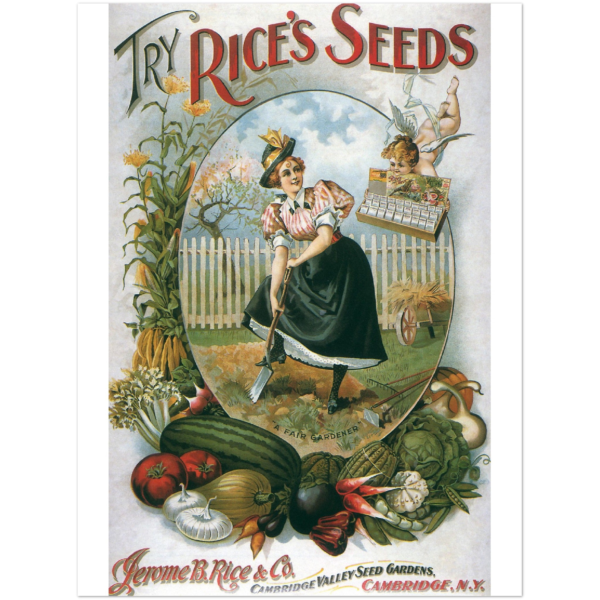 3147369 Ad for Rice's Seeds