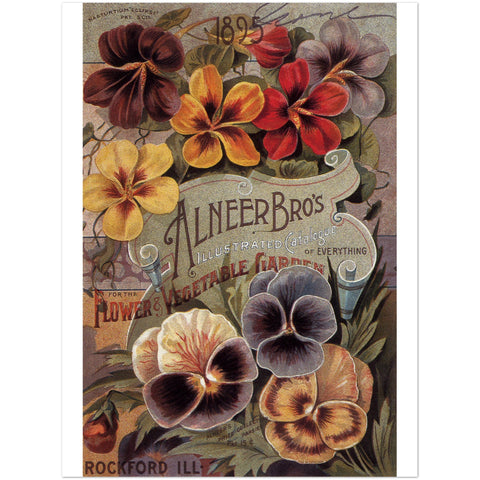 3147400 Ad for Alneer Brothers Seeds