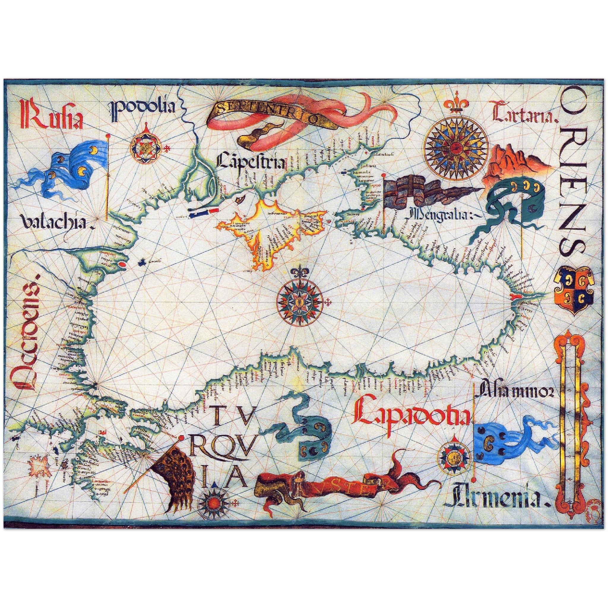4452547 Map of the Black Sea, Diogo Homem c. 1559