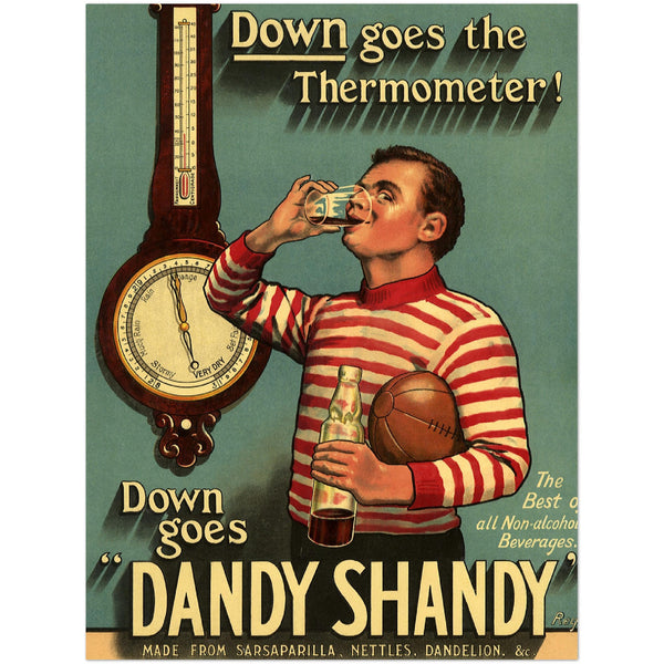 3142298 Bottled Beverage Dandy Shandy