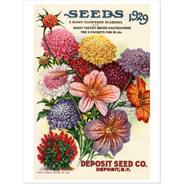 3156370 Ad for Deposit Seed Company