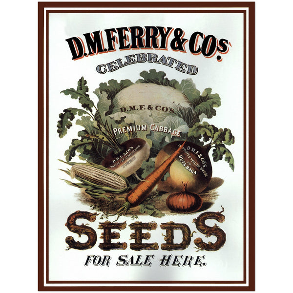 3147356 DM Ferry Seeds Ad