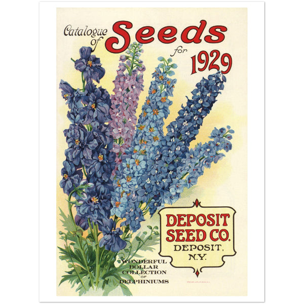 3156371 Ad for Desposit Seed Company
