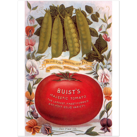 3147390 Buist's Tomato Seeds Ad