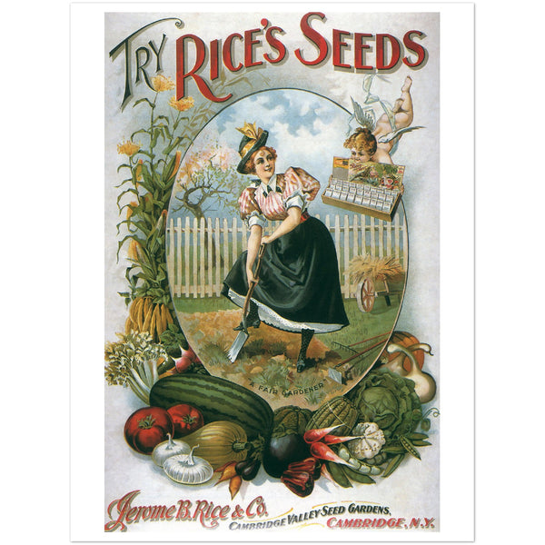 3147369 Ad for Rice's Seeds