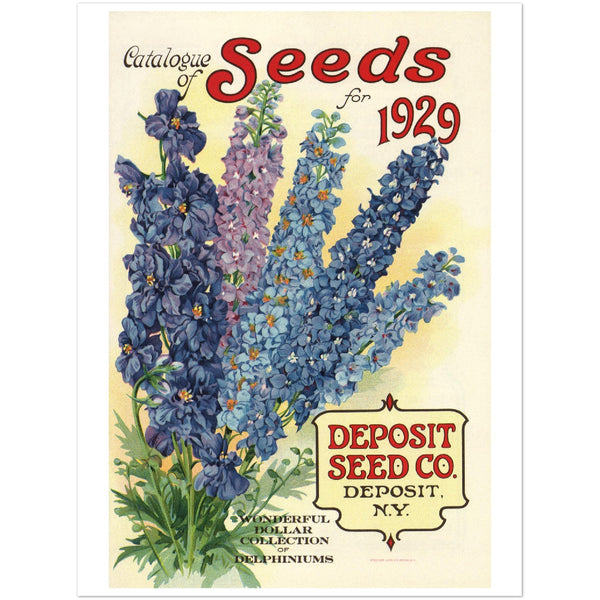 3156371 Ad for Desposit Seed Company